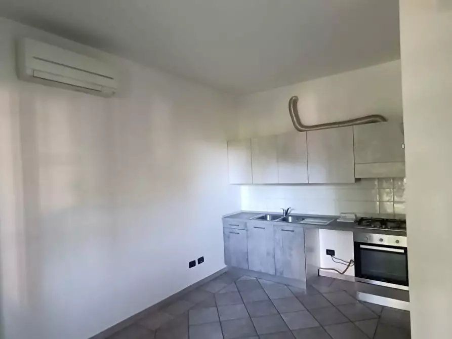 Immagine 4 di Villa in vendita  a Vecchiano