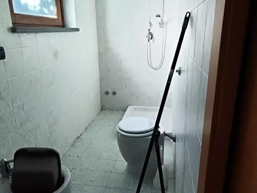 Immagine 15 di Villa in vendita  a Vecchiano