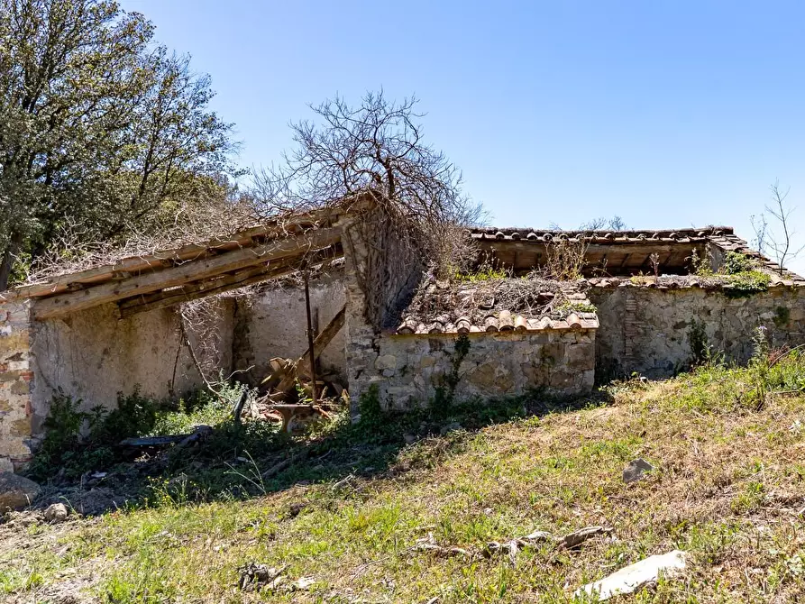 Immagine 5 di Villa in vendita  a Monteverdi Marittimo