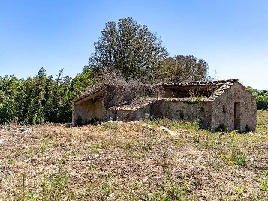 Immagine 24 di Villa in vendita  a Monteverdi Marittimo