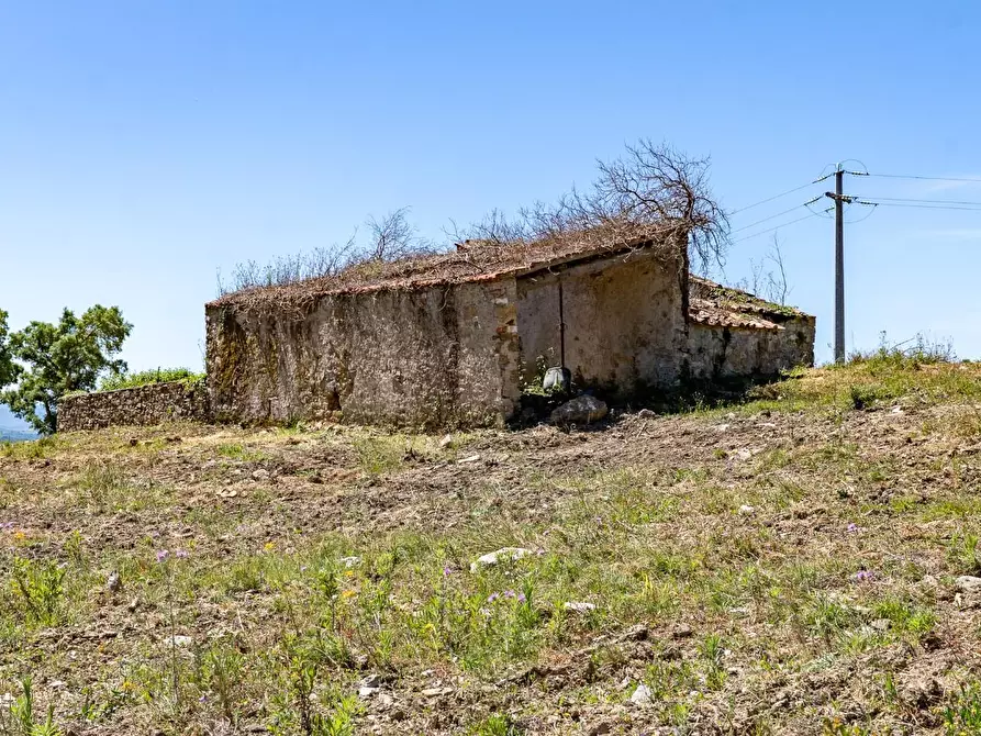 Immagine 6 di Villa in vendita  a Monteverdi Marittimo