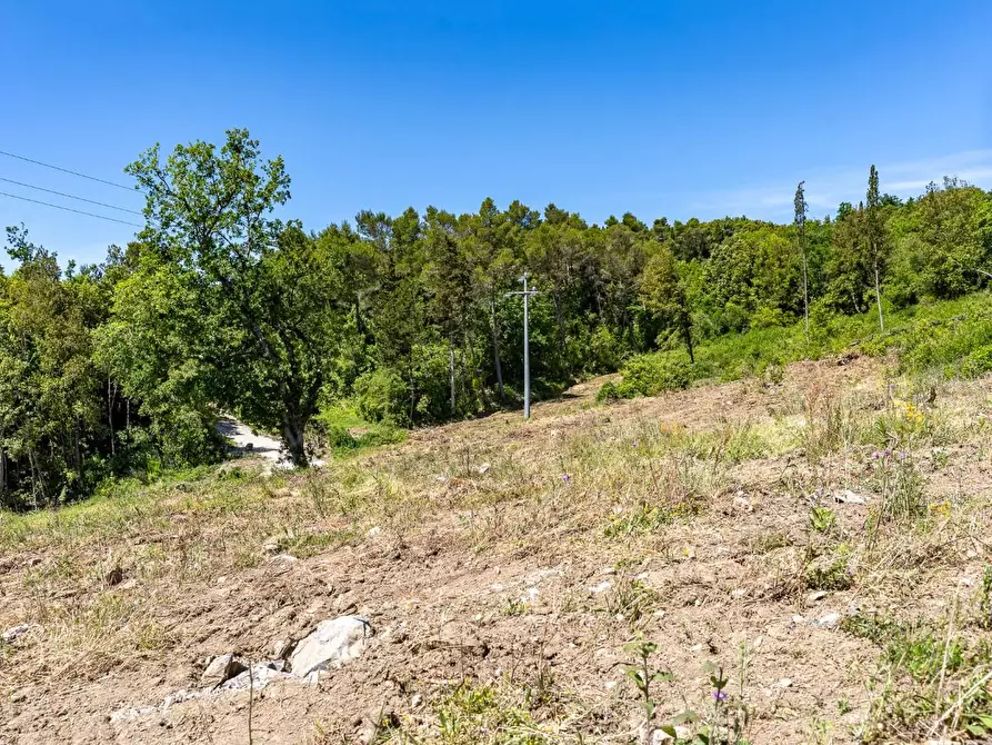 Immagine 22 di Villa in vendita  a Monteverdi Marittimo