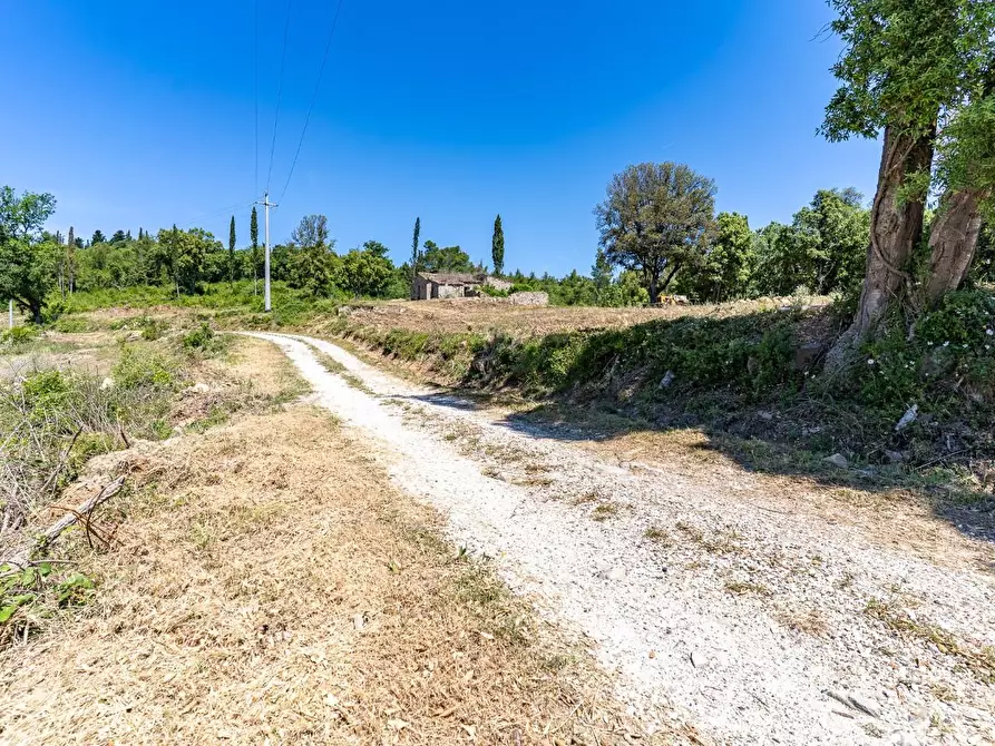 Immagine 12 di Villa in vendita  a Monteverdi Marittimo