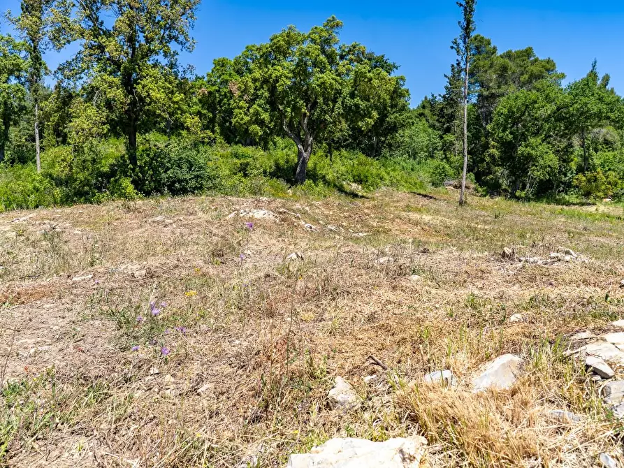 Immagine 13 di Villa in vendita  a Monteverdi Marittimo