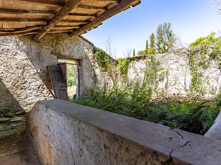 Immagine 17 di Villa in vendita  a Monteverdi Marittimo