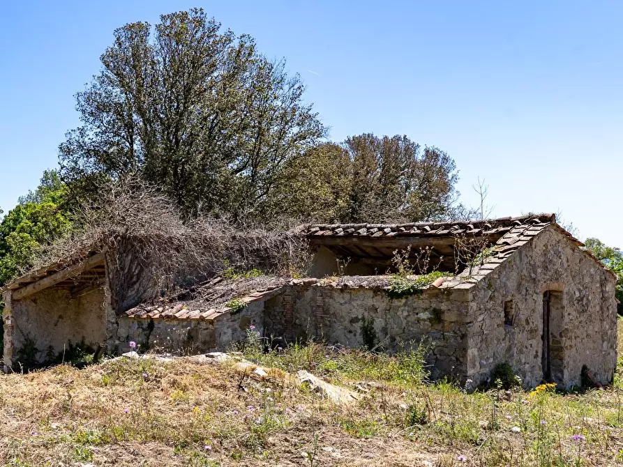 Immagine 4 di Villa in vendita  a Monteverdi Marittimo
