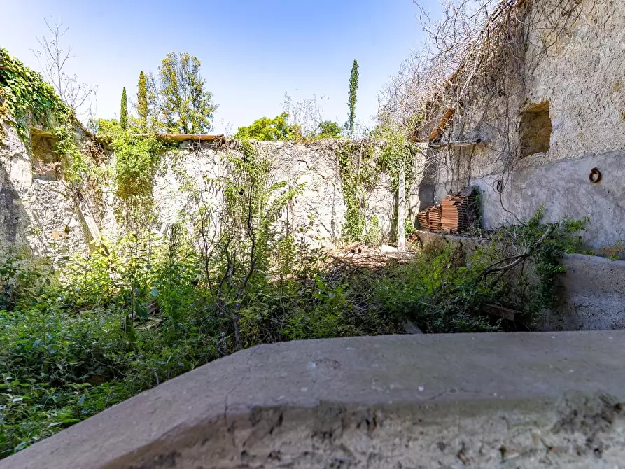 Immagine 16 di Villa in vendita  a Monteverdi Marittimo