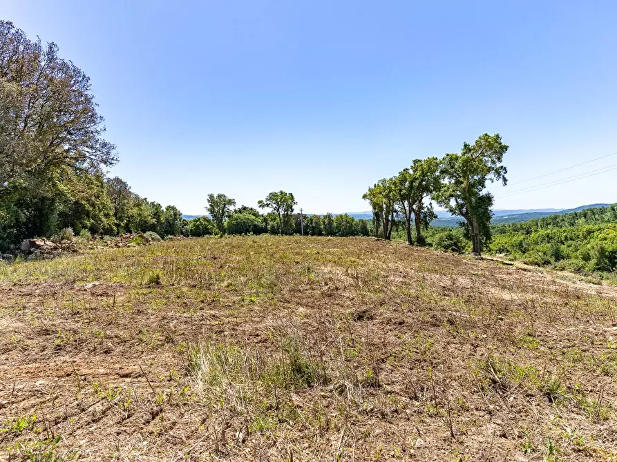 Immagine 10 di Villa in vendita  a Monteverdi Marittimo