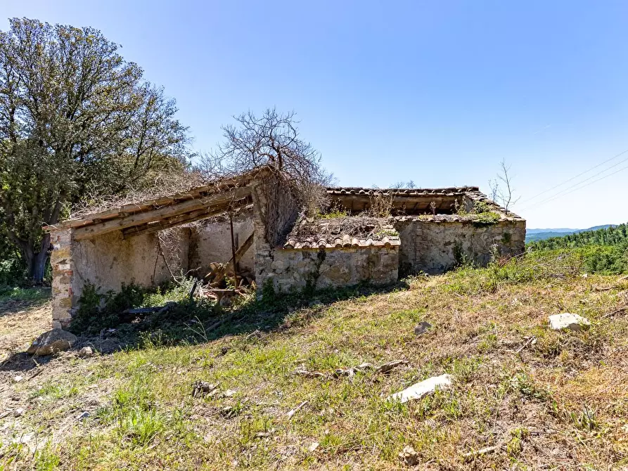Immagine 25 di Villa in vendita  a Monteverdi Marittimo