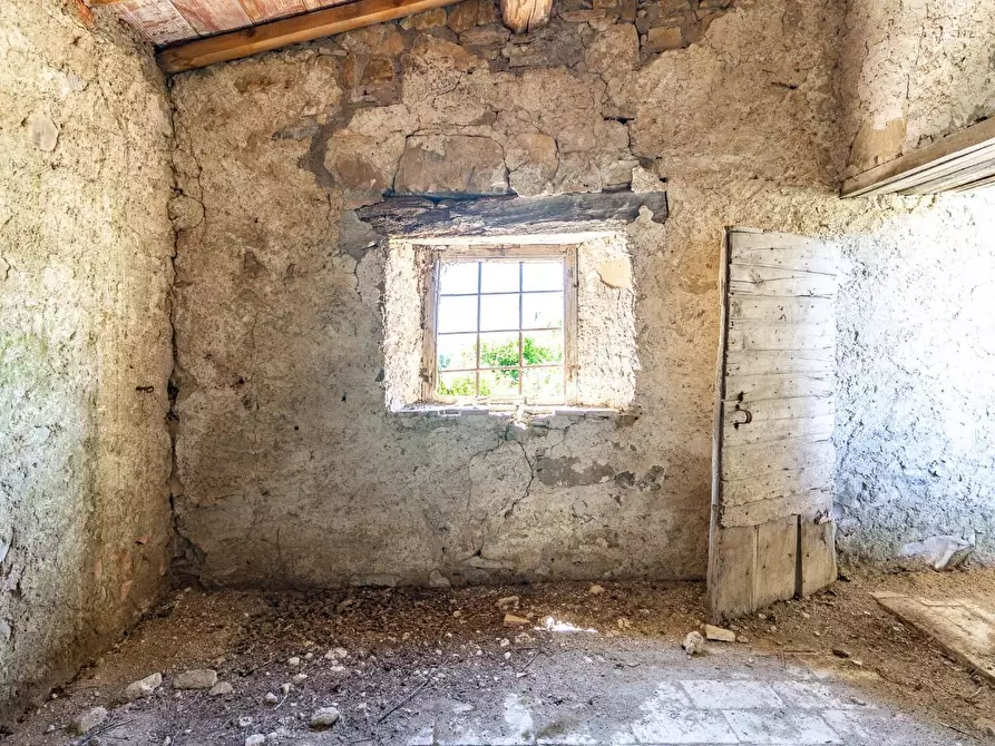 Immagine 19 di Villa in vendita  a Monteverdi Marittimo