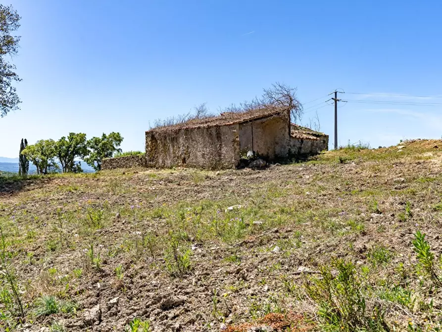 Immagine 26 di Villa in vendita  a Monteverdi Marittimo