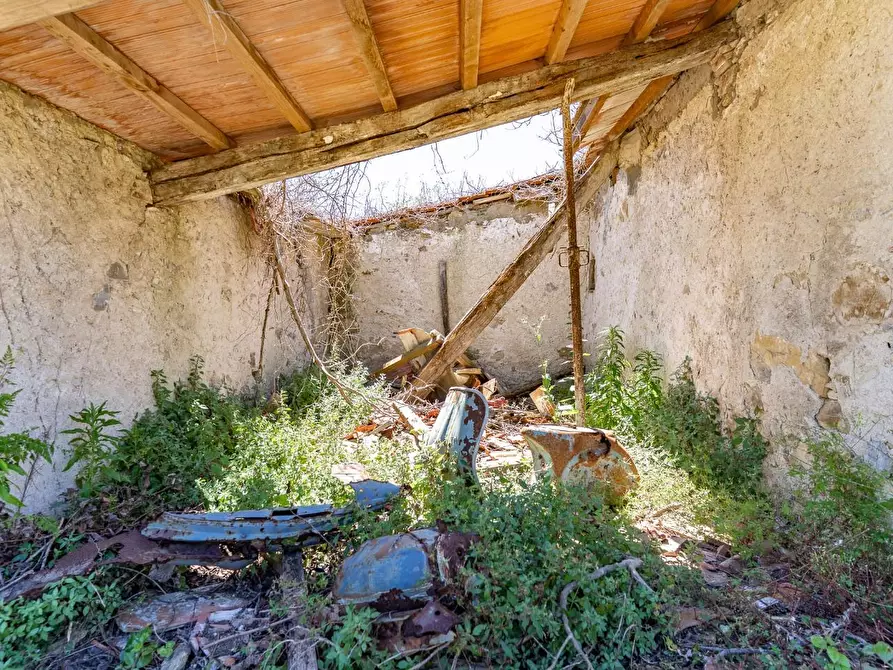 Immagine 21 di Villa in vendita  a Monteverdi Marittimo