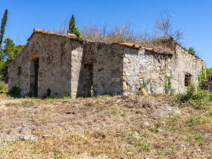 Immagine 8 di Villa in vendita  a Monteverdi Marittimo