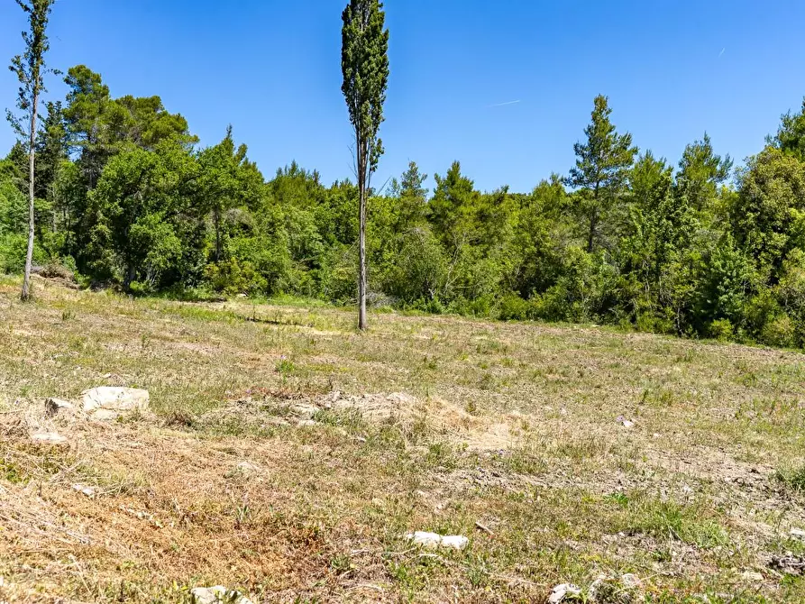 Immagine 23 di Villa in vendita  a Monteverdi Marittimo
