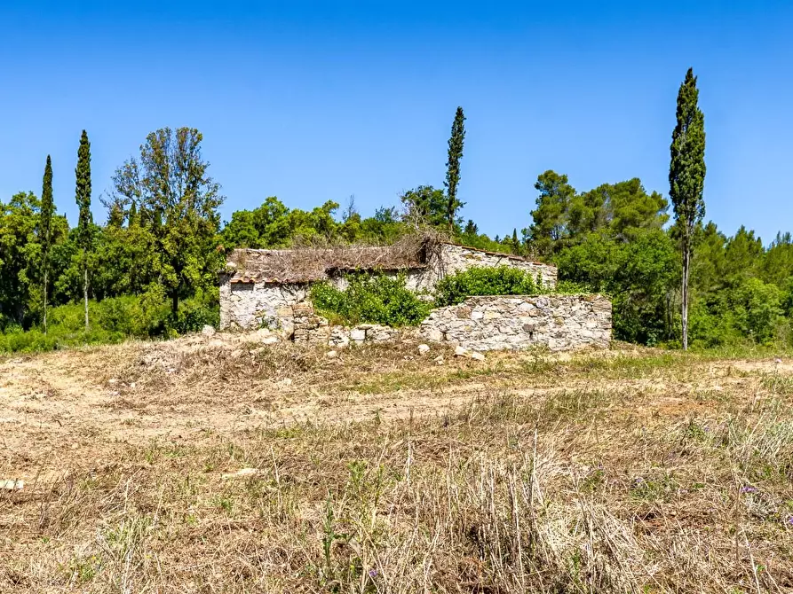Immagine 1 di Villa in vendita  a Monteverdi Marittimo
