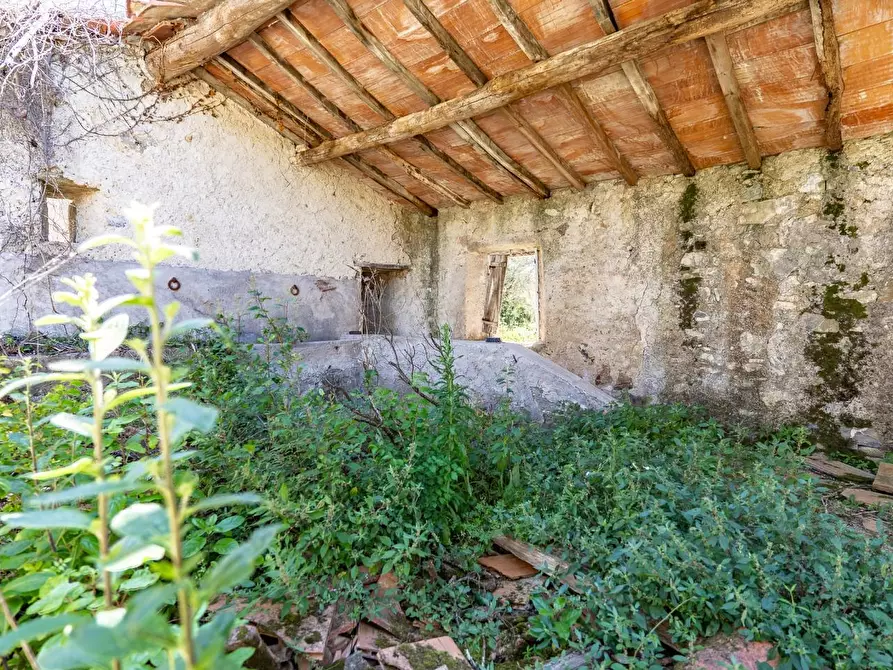 Immagine 15 di Villa in vendita  a Monteverdi Marittimo