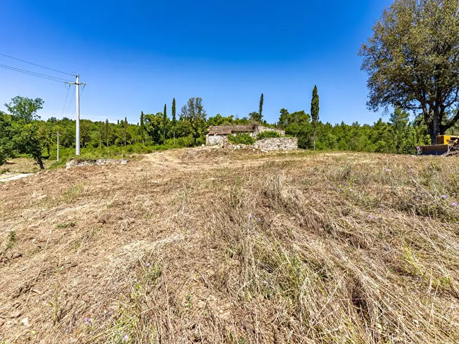 Immagine 29 di Villa in vendita  a Monteverdi Marittimo