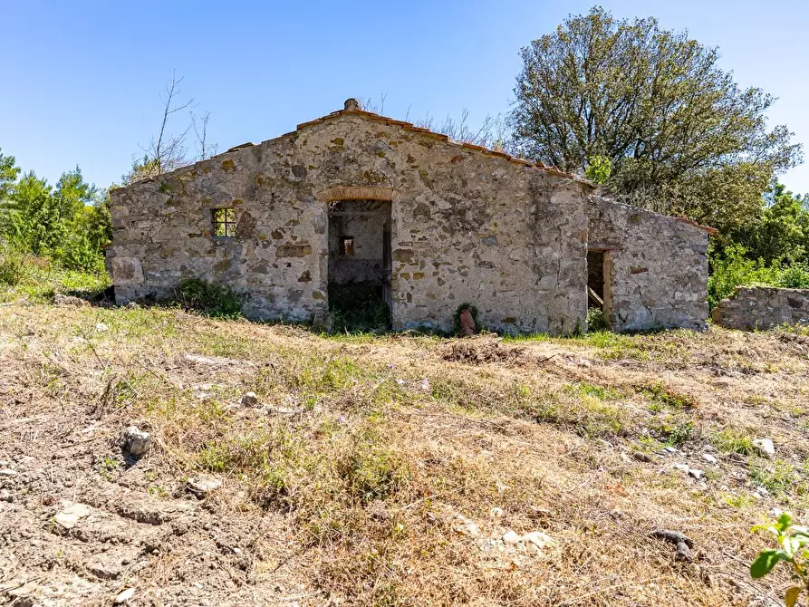 Immagine 3 di Villa in vendita  a Monteverdi Marittimo