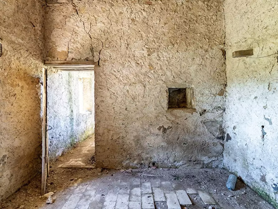 Immagine 20 di Villa in vendita  a Monteverdi Marittimo