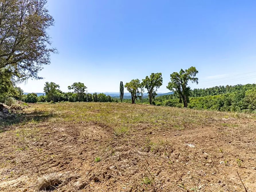 Immagine 9 di Villa in vendita  a Monteverdi Marittimo