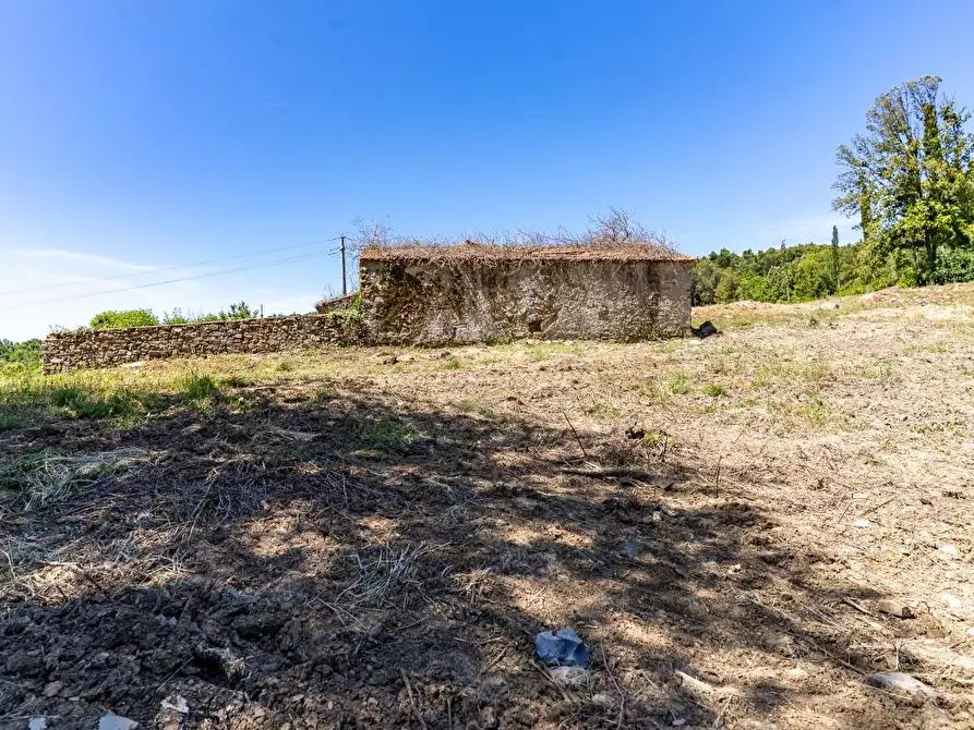 Immagine 27 di Villa in vendita  a Monteverdi Marittimo