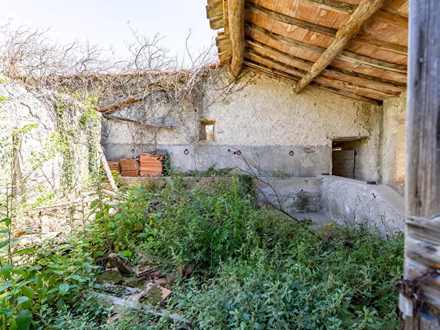 Immagine 14 di Villa in vendita  a Monteverdi Marittimo