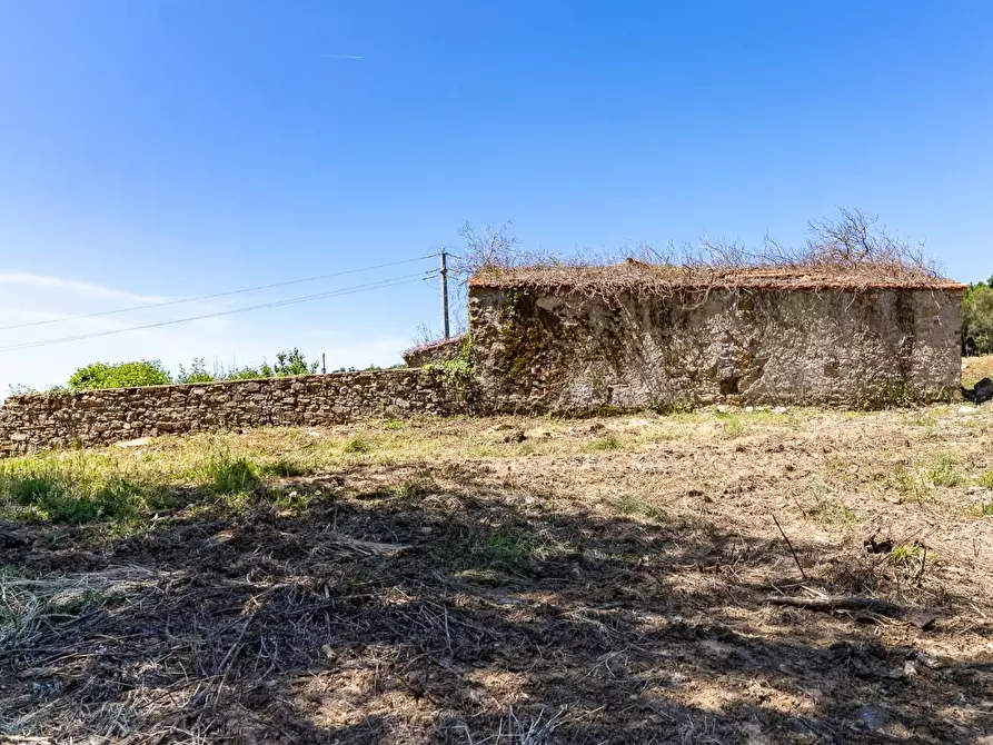 Immagine 7 di Villa in vendita  a Monteverdi Marittimo