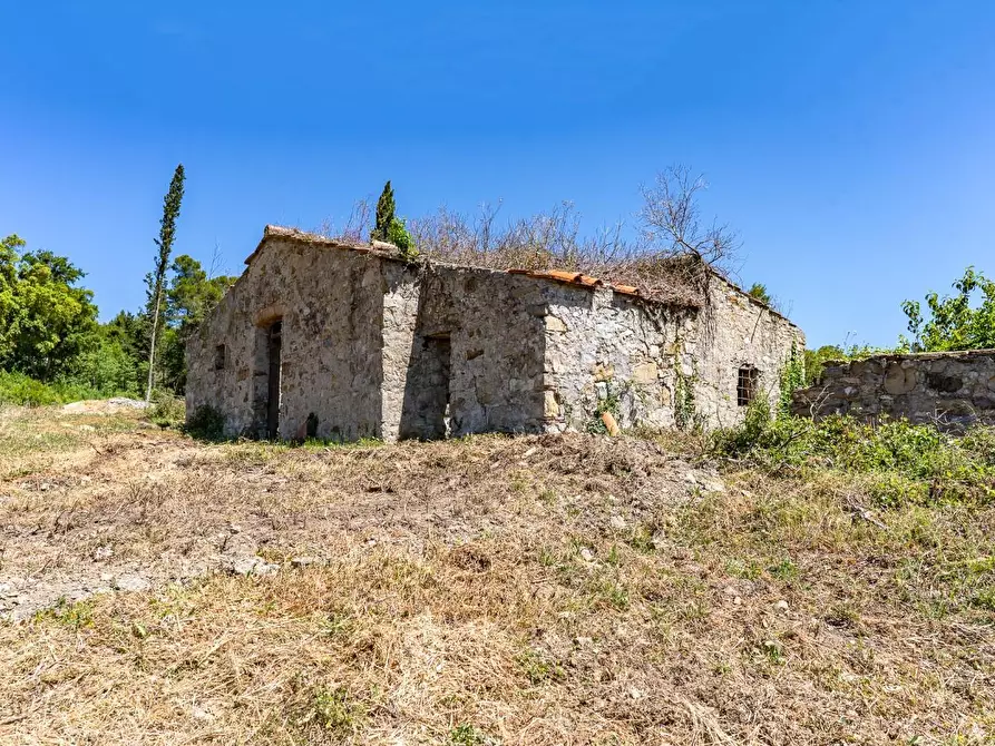 Immagine 30 di Villa in vendita  a Monteverdi Marittimo