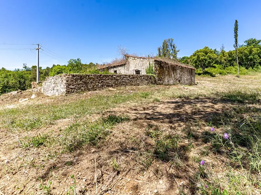 Immagine 28 di Villa in vendita  a Monteverdi Marittimo