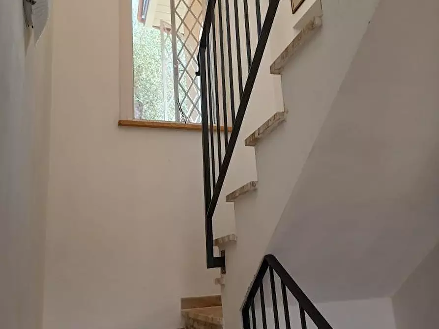 Immagine 18 di Villa in vendita  a Camaiore