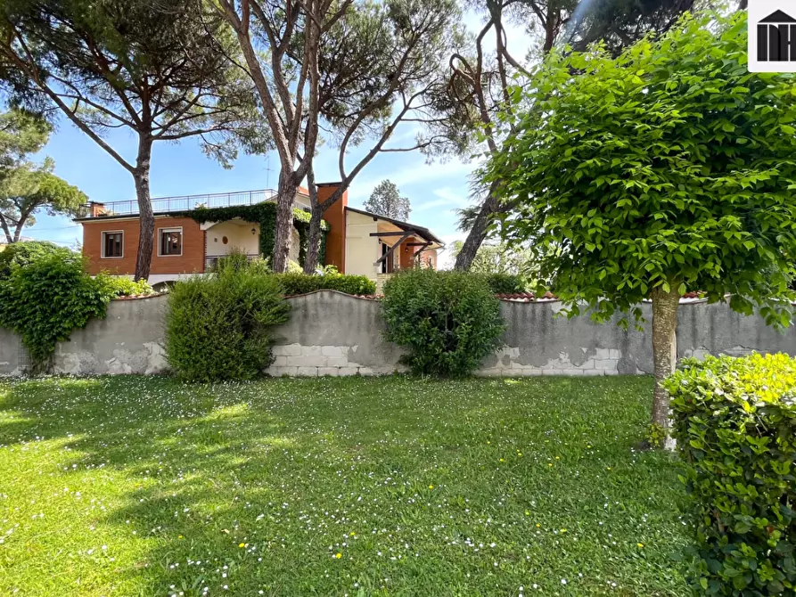 Immagine 3 di Terratetto in vendita  a Castelfranco Di Sotto