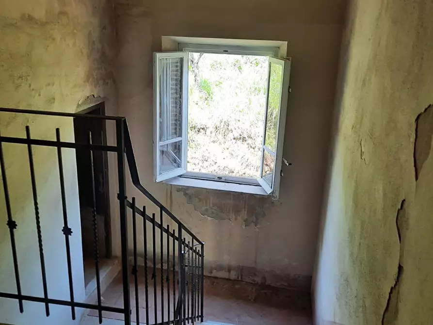 Immagine 8 di Rustico / casale in vendita  a Borgo A Mozzano