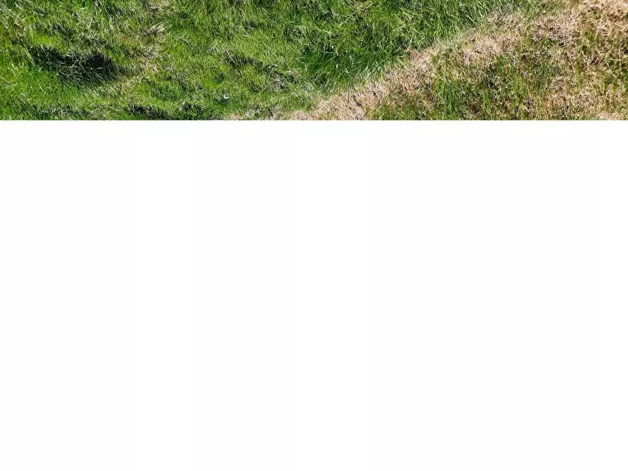 Immagine 2 di Rustico / casale in vendita  a Borgo A Mozzano