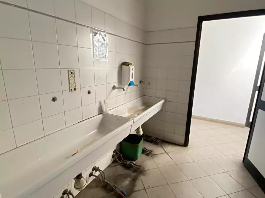 Immagine 4 di Attività artigianale in affitto  a Vicopisano