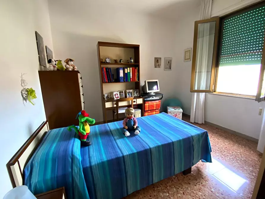 Immagine 13 di Appartamento in vendita  a Pontedera