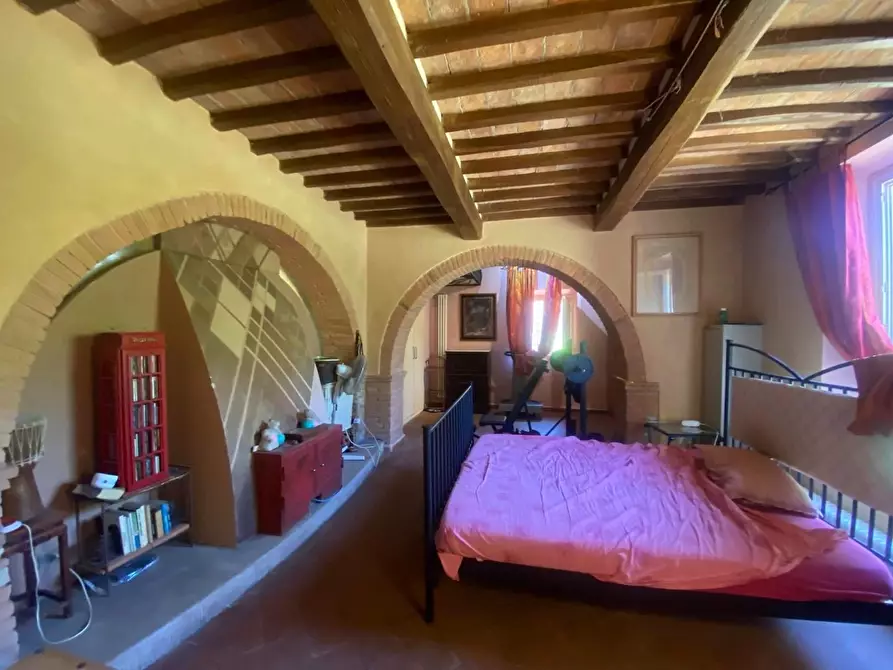 Immagine 16 di Casa colonica in vendita  a Casciana Terme Lari