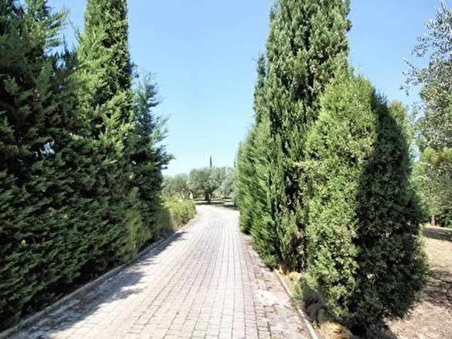 Immagine 5 di Casa colonica in vendita  a Casciana Terme Lari