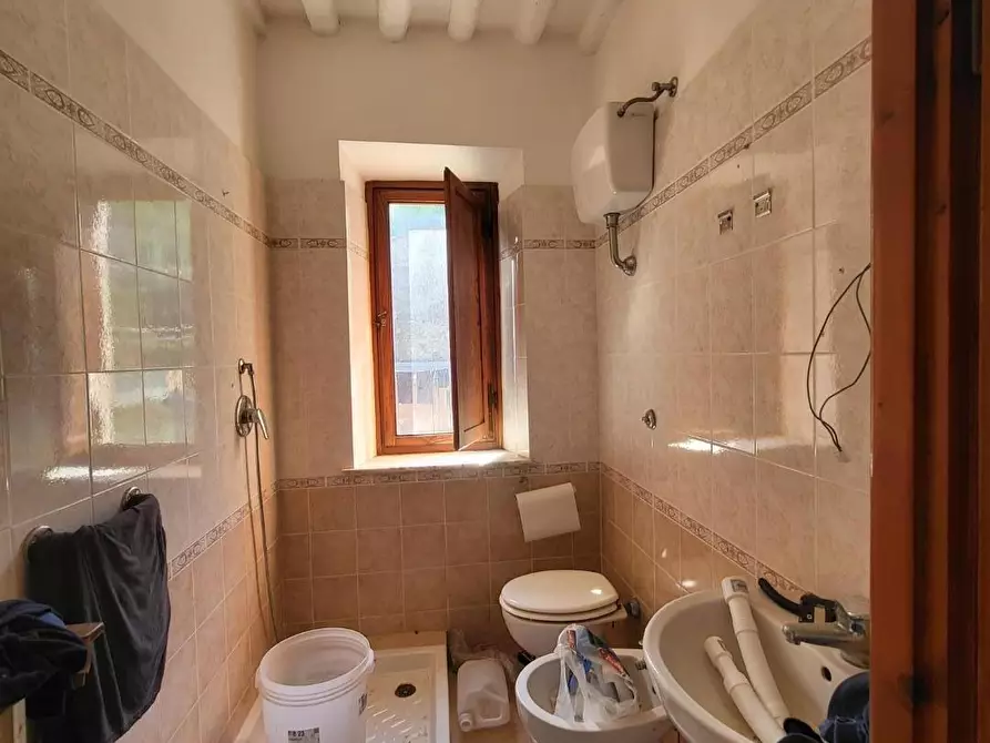 Immagine 4 di Terratetto in vendita  a San Giuliano Terme