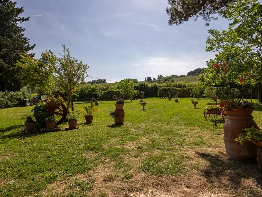 Immagine 69 di Porzione di casa in vendita  a Casciana Terme Lari