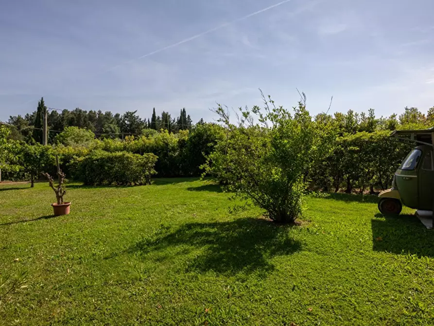 Immagine 75 di Porzione di casa in vendita  a Casciana Terme Lari