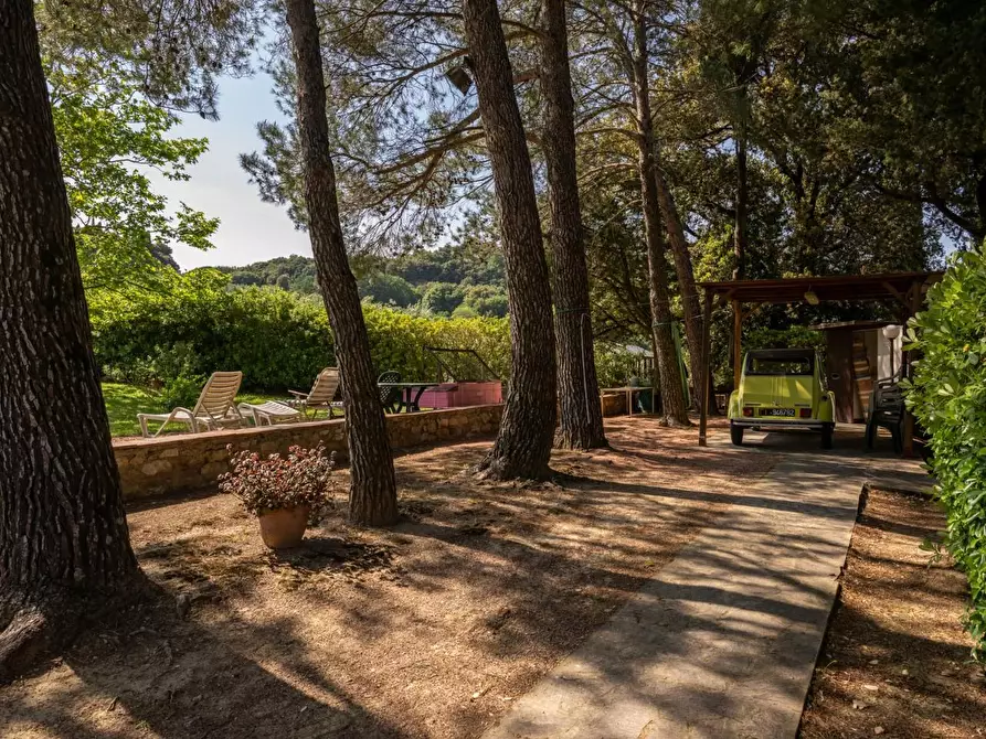 Immagine 80 di Porzione di casa in vendita  a Casciana Terme Lari