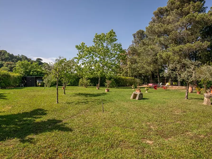 Immagine 78 di Porzione di casa in vendita  a Casciana Terme Lari