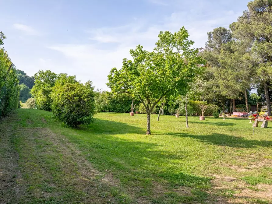 Immagine 68 di Porzione di casa in vendita  a Casciana Terme Lari