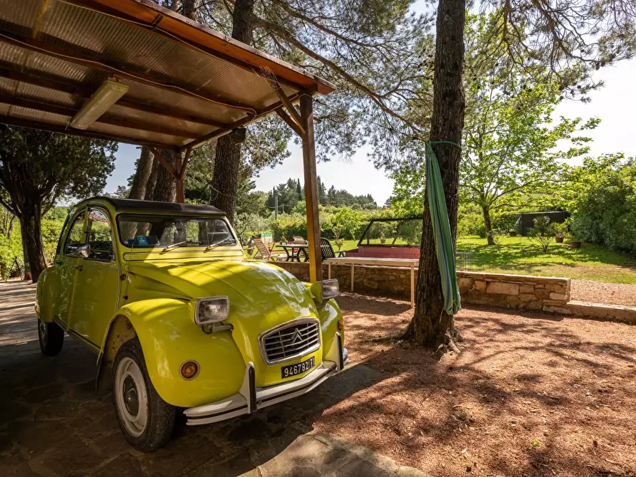 Immagine 81 di Porzione di casa in vendita  a Casciana Terme Lari