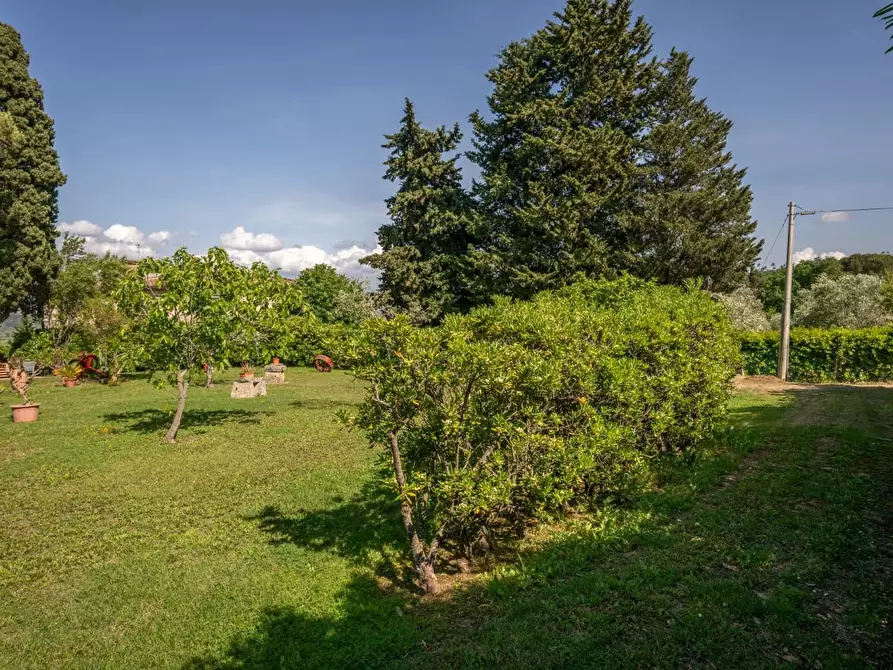 Immagine 77 di Porzione di casa in vendita  a Casciana Terme Lari