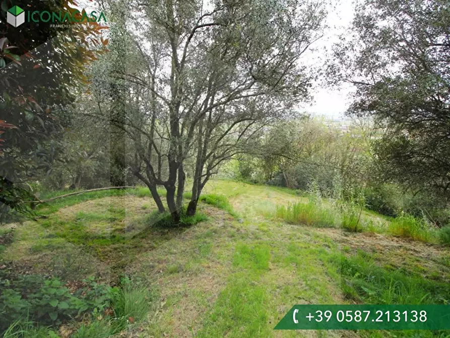 Immagine 21 di Appartamento in vendita  a Santa Maria A Monte