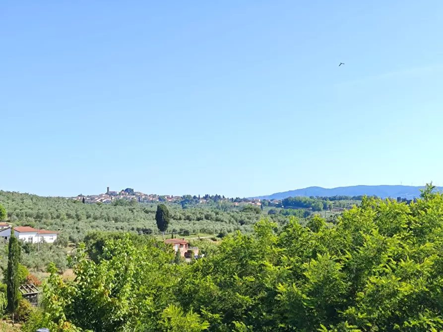 Immagine 24 di Villetta a schiera in vendita  a Capannoli