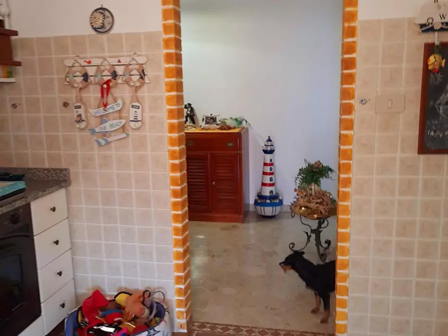 Immagine 9 di Appartamento in vendita  a Viareggio