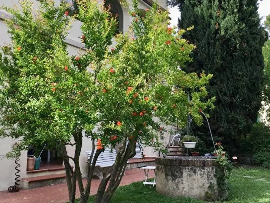 Immagine 2 di Villa in vendita  a Calci