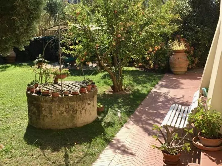 Immagine 3 di Villa in vendita  a Calci